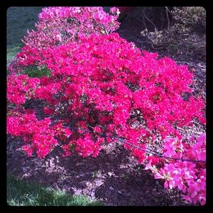 Make me an offer! :-)